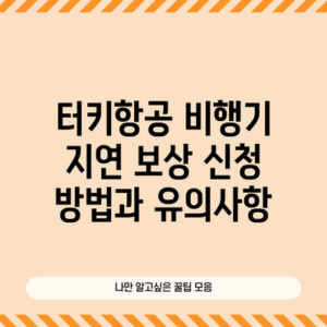 터키항공 비행기 지연 보상 신청 방법과 유의사항
