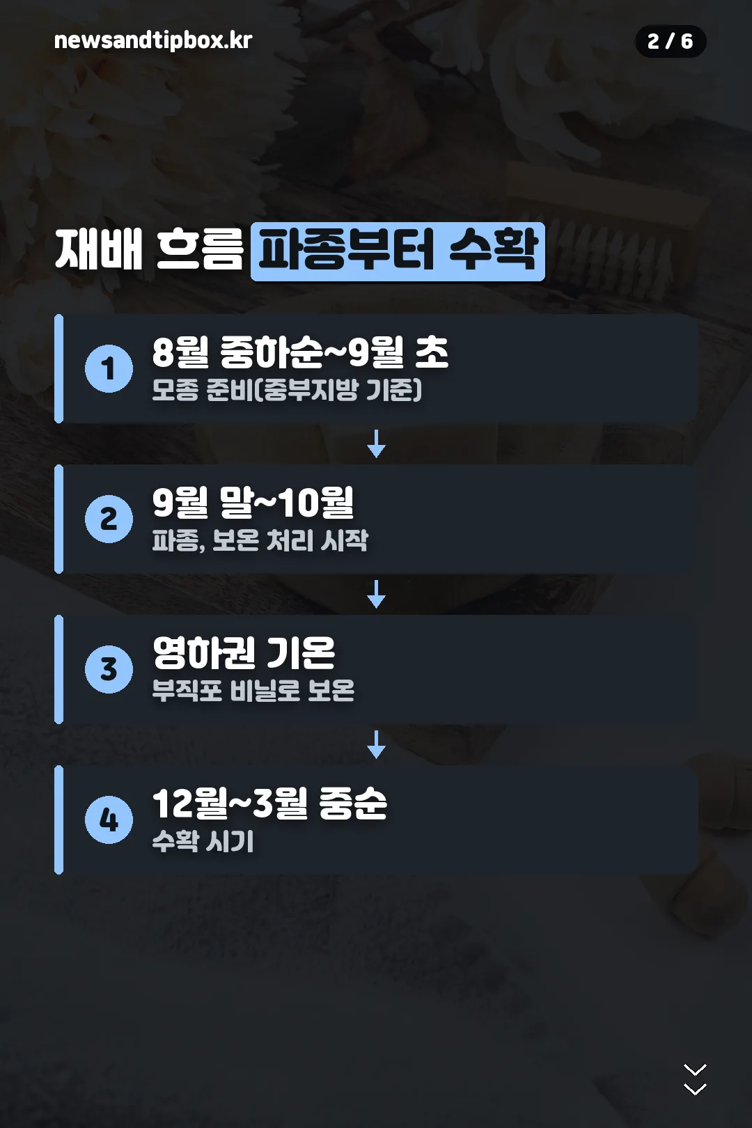 재배 흐름 파종부터 수확