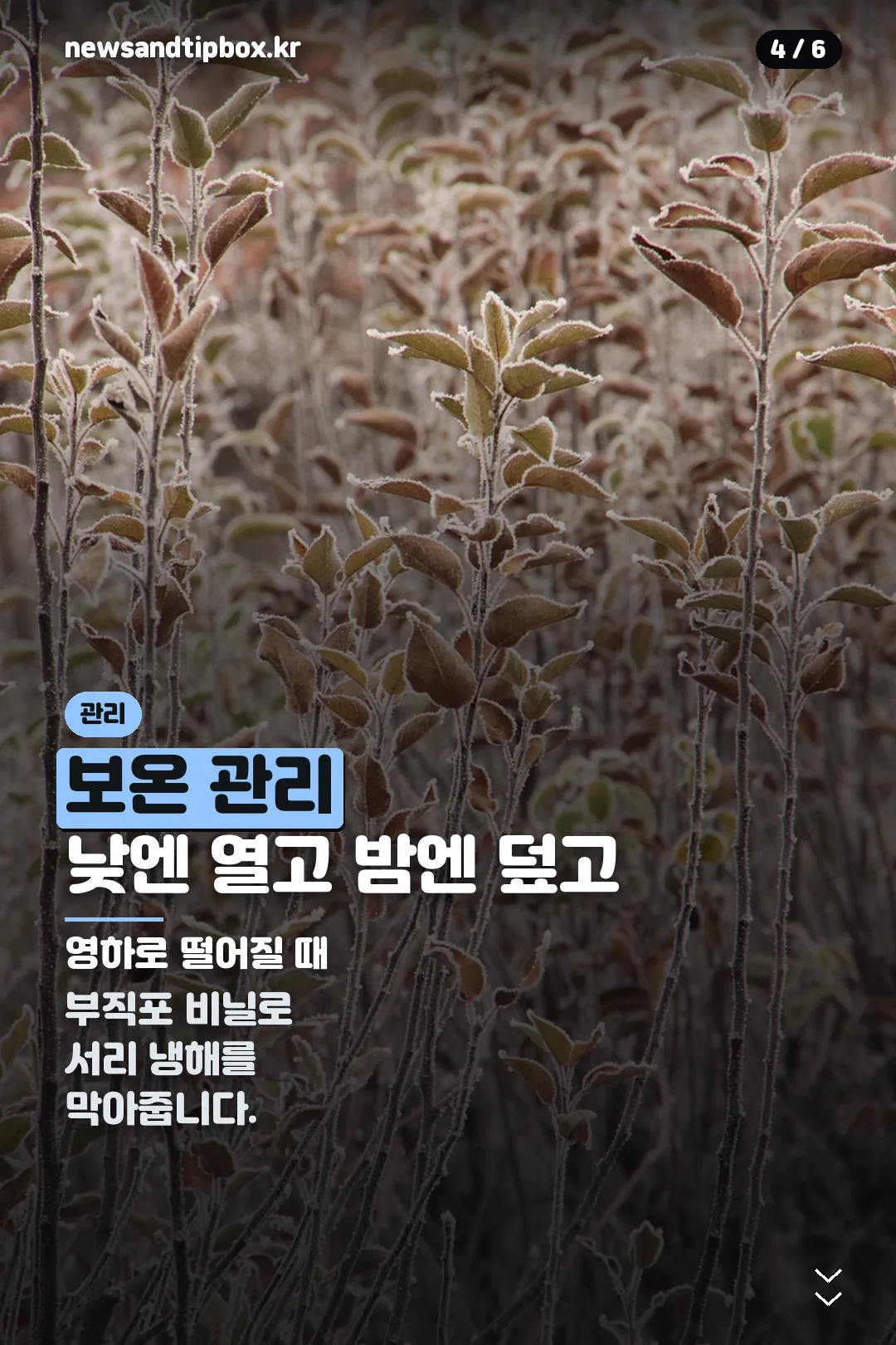 보온 관리 방법