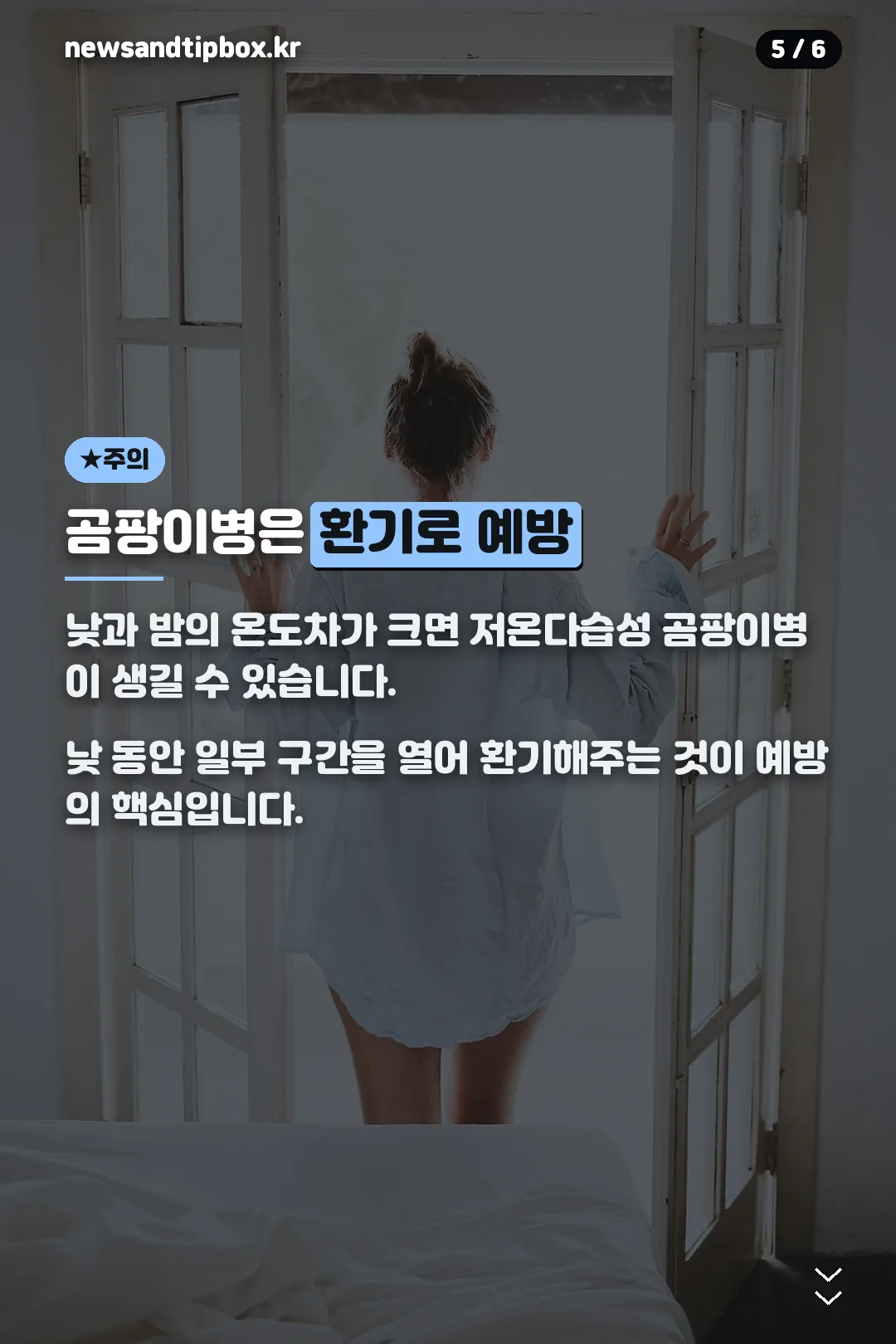 곰팡이병 예방