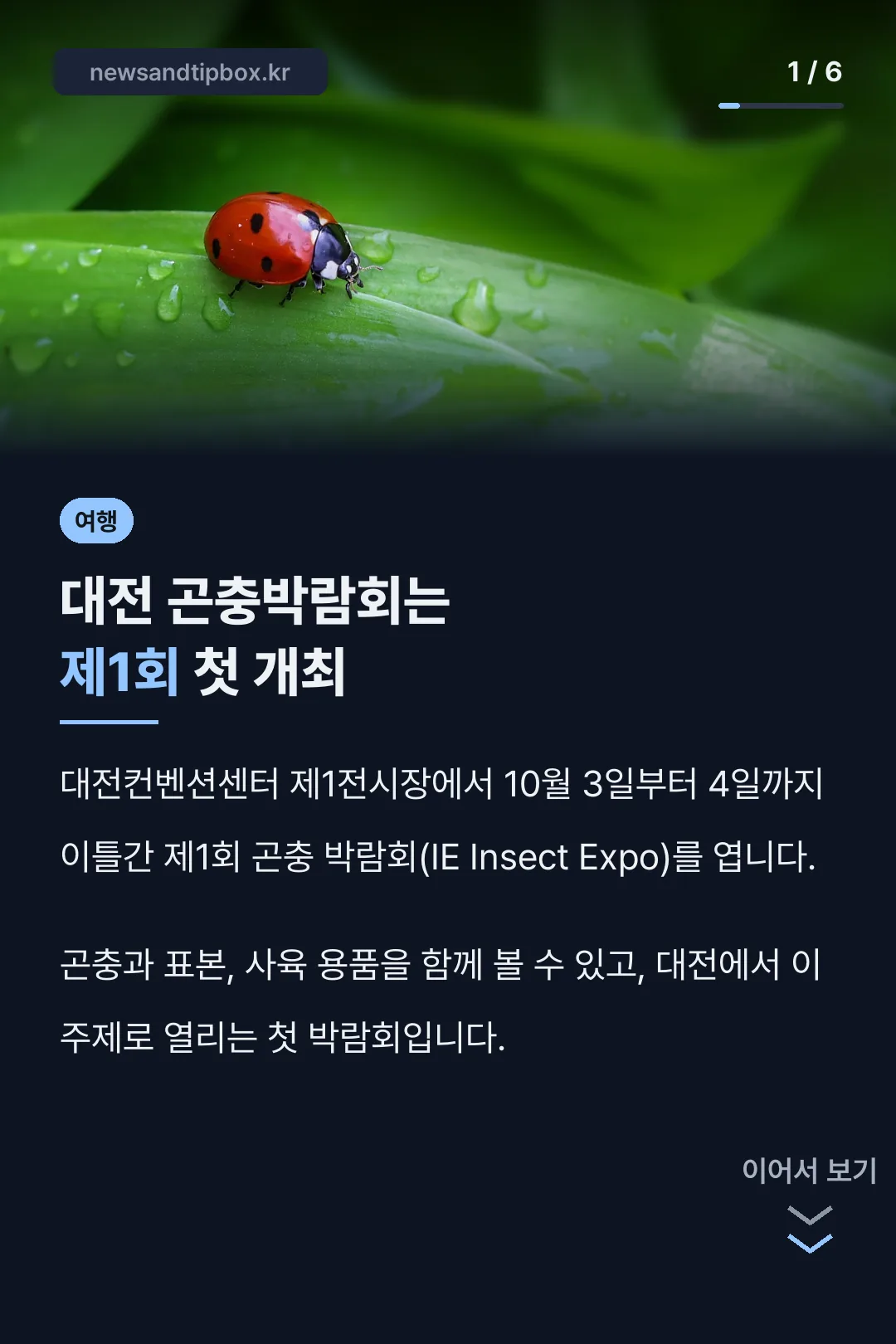대전 곤충박람회는 제1회 첫 개최