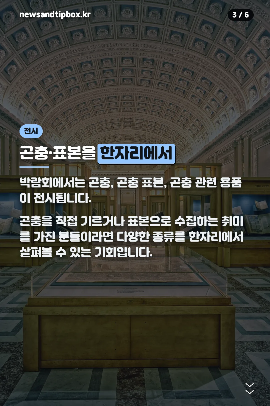 곤충·표본 전시