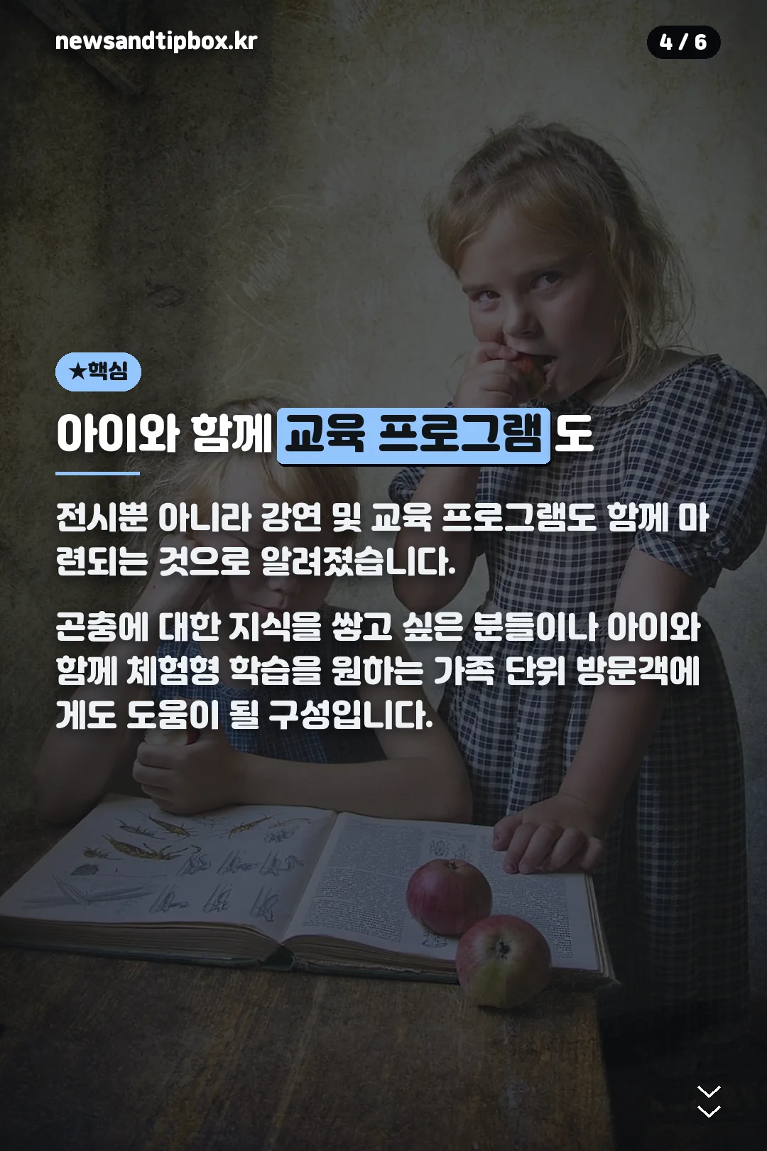 교육 프로그램 소개