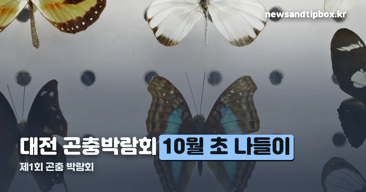 대전 곤충박람회 정리 썸네일