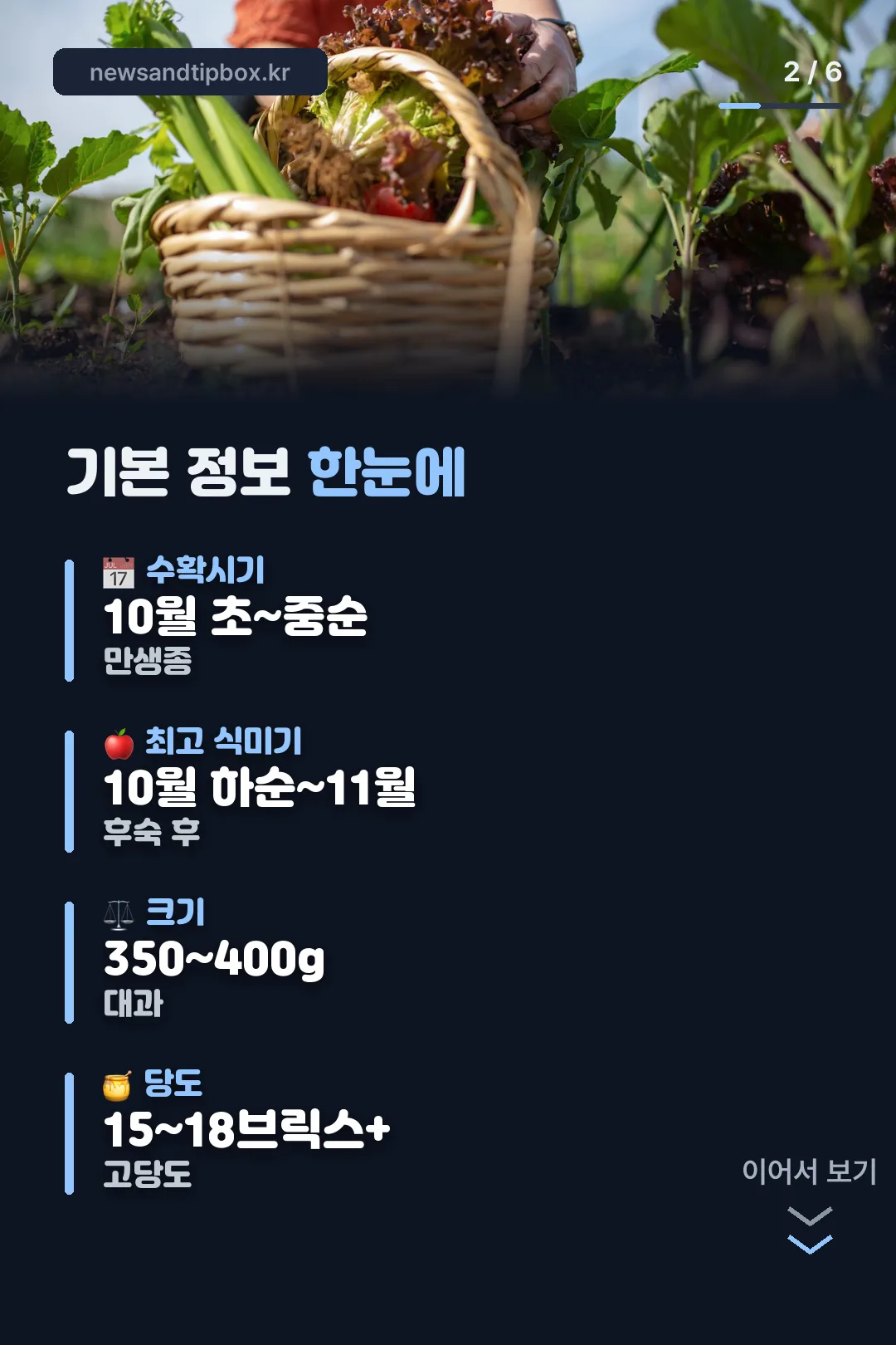 기본 정보 한눈에