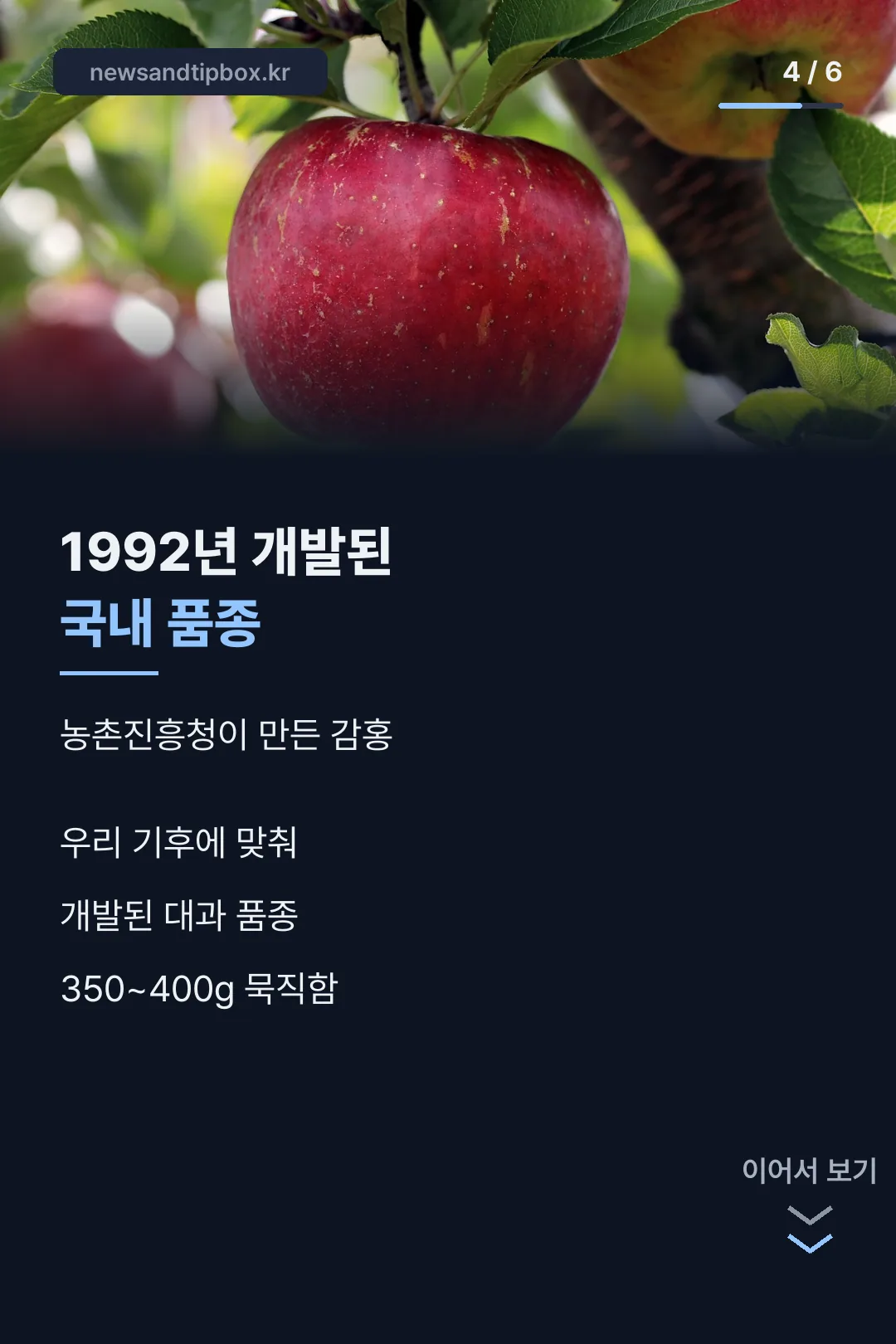 1992년 개발된 국내 품종