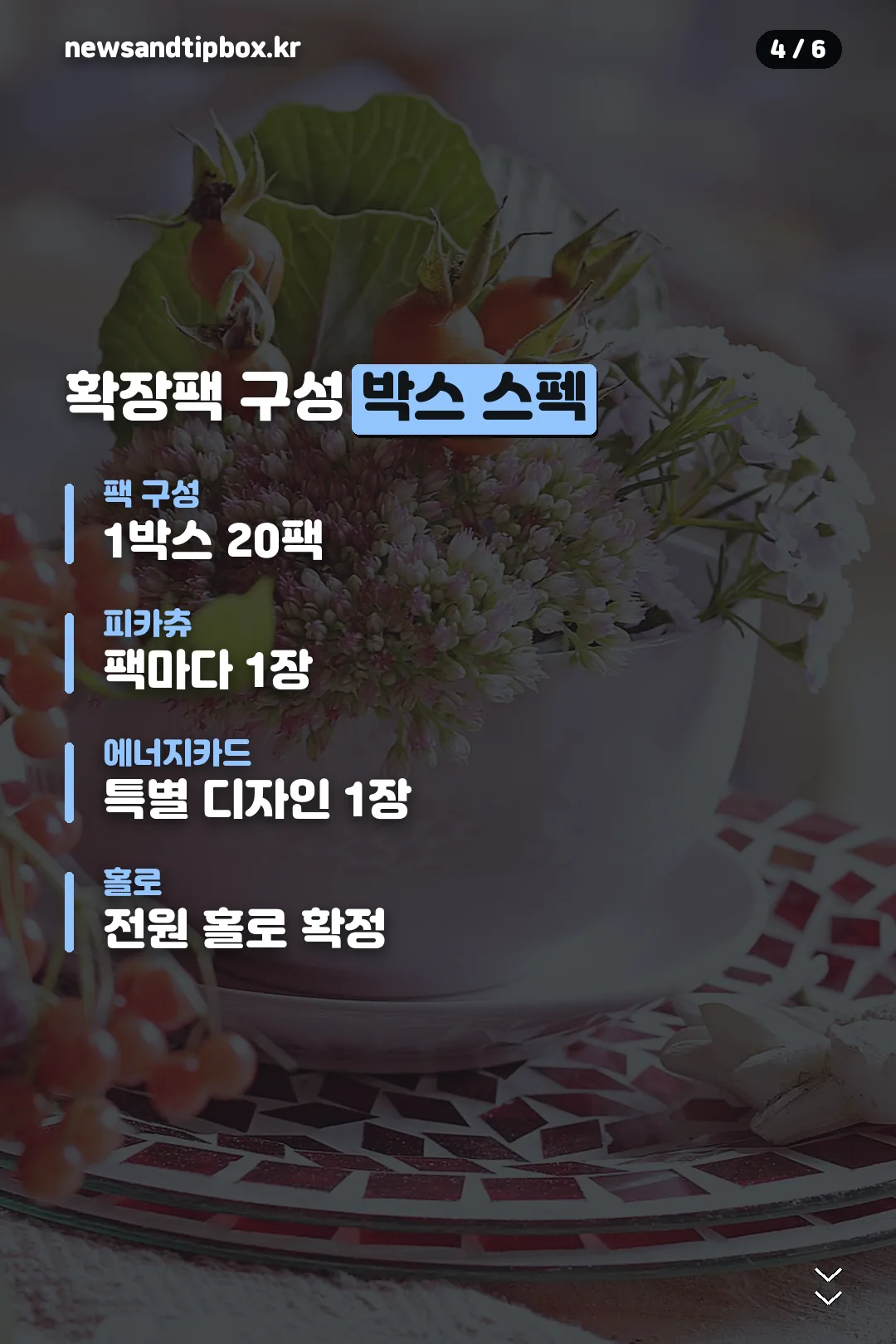 확장팩 구성