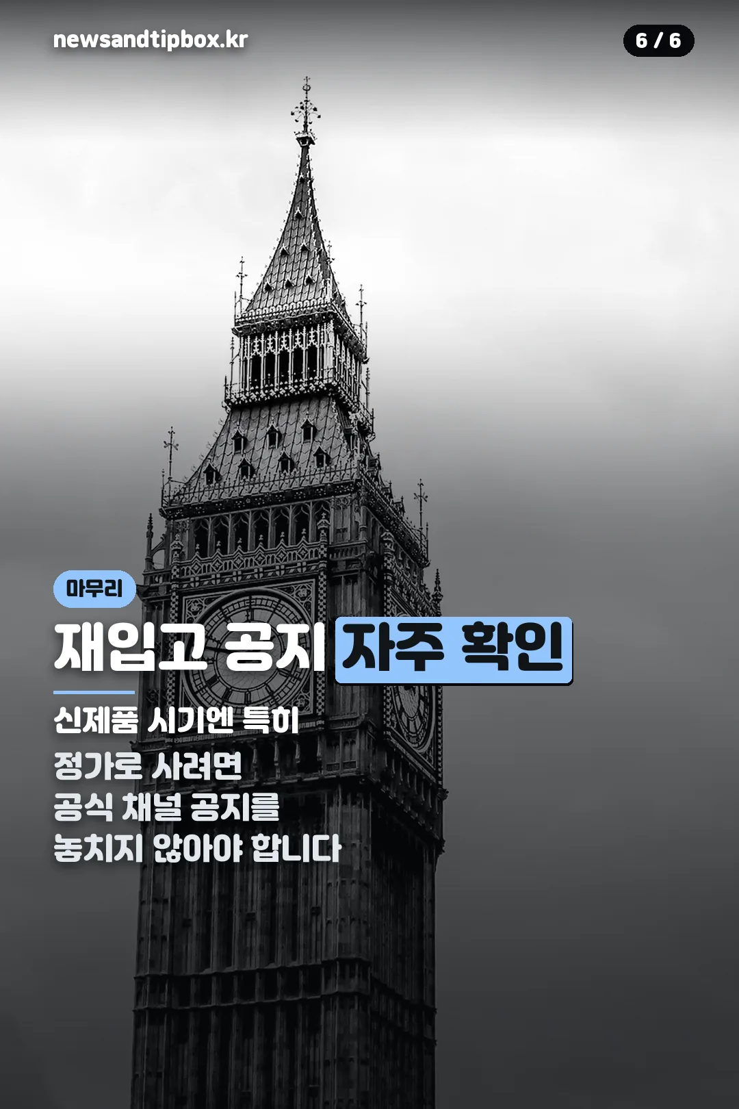 재입고 공지 확인