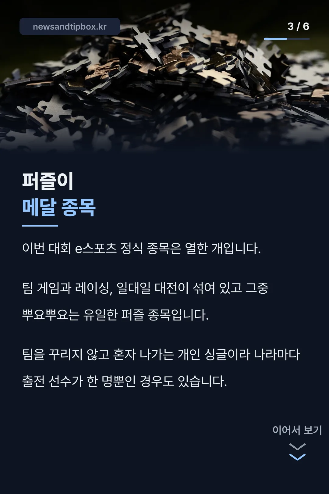 퍼즐 종목의 의미