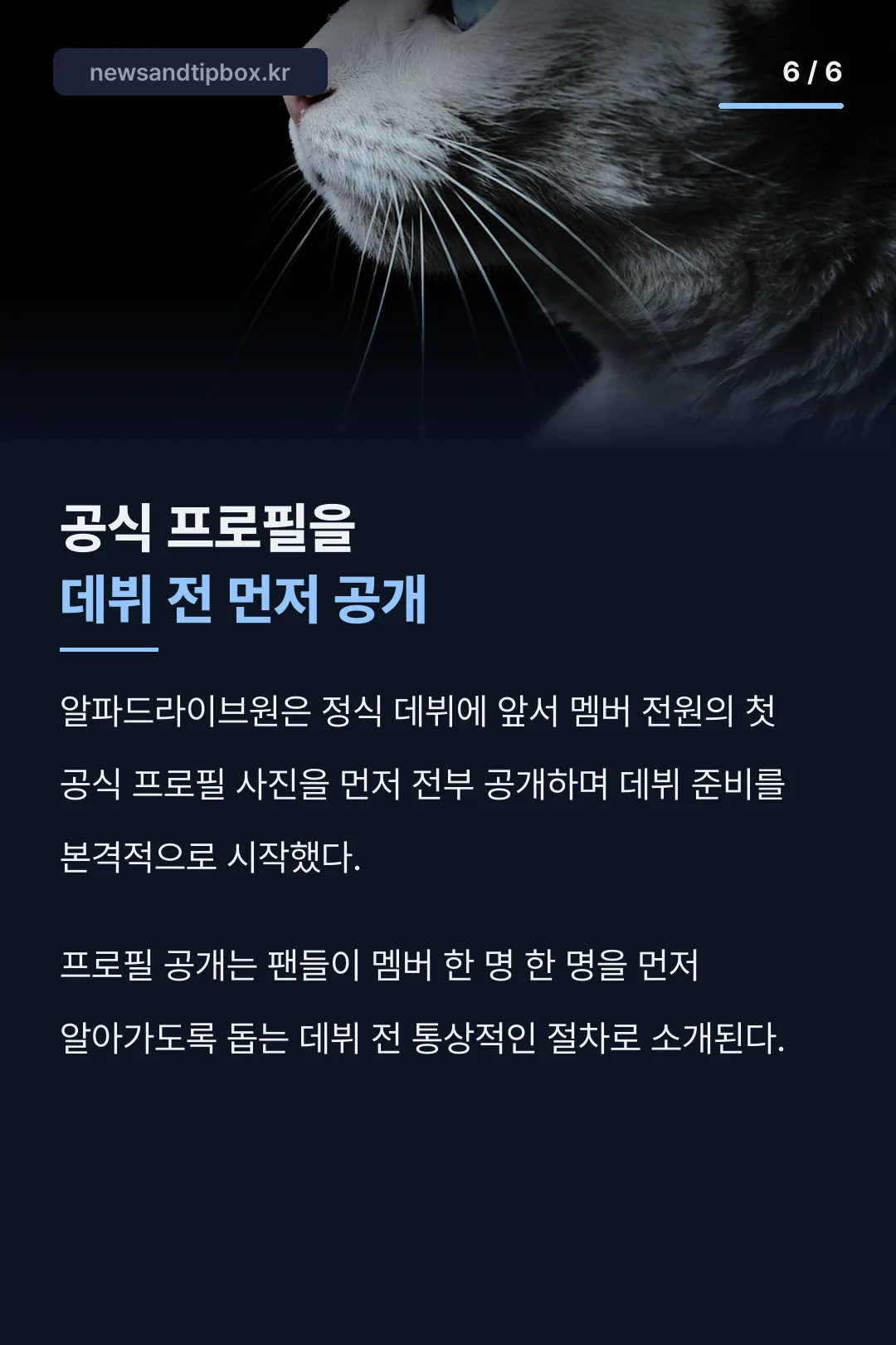 데뷔 전 공식 프로필 공개