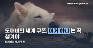 도깨비의 세계 쿠폰, 11월 5일 전에 꼭 챙겨야 하는 코드