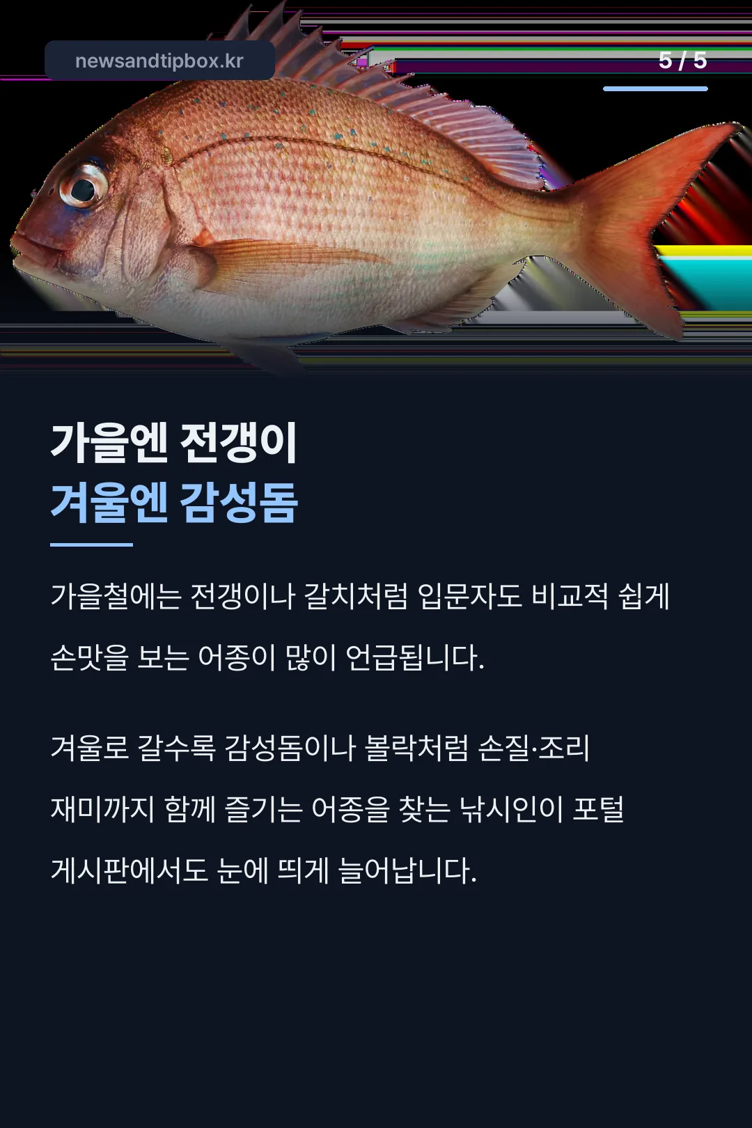 계절별 인기 어종