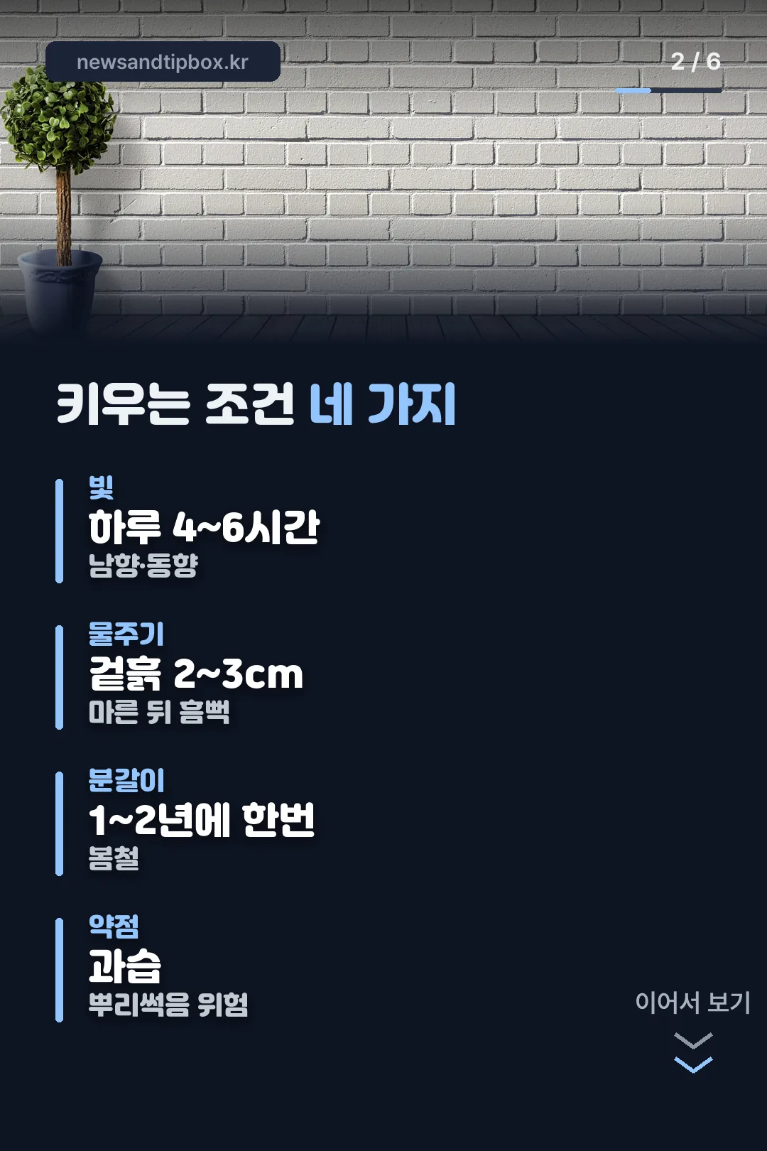 빛·물주기 등 키우는 조건