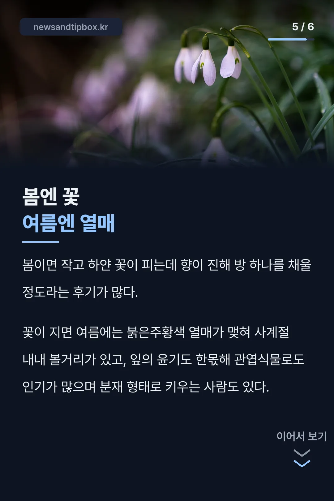봄꽃과 여름 열매