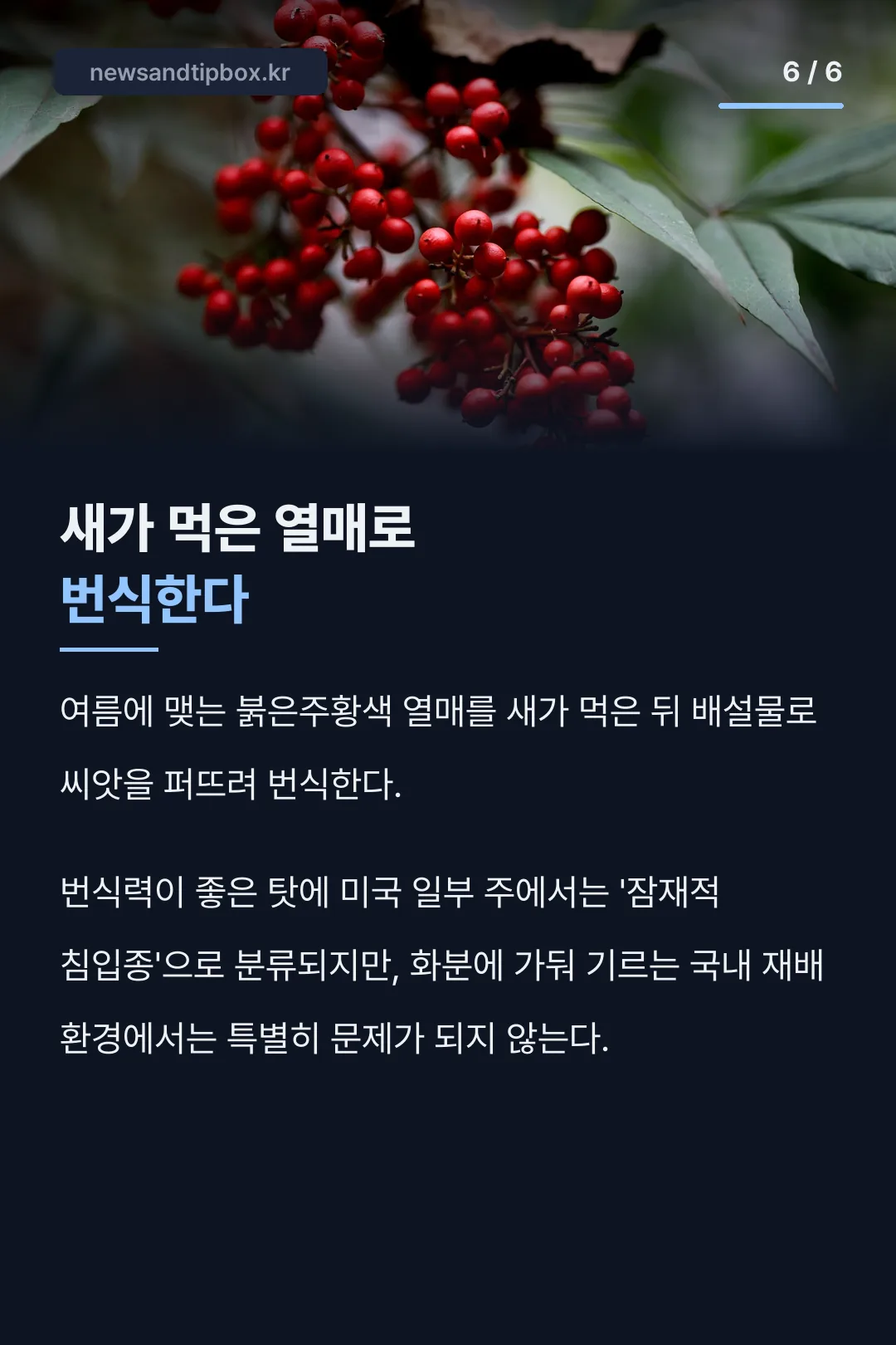 새가 퍼뜨리는 씨앗 번식